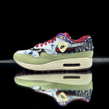 Nike Air Max 1 SP Concepts Mellow